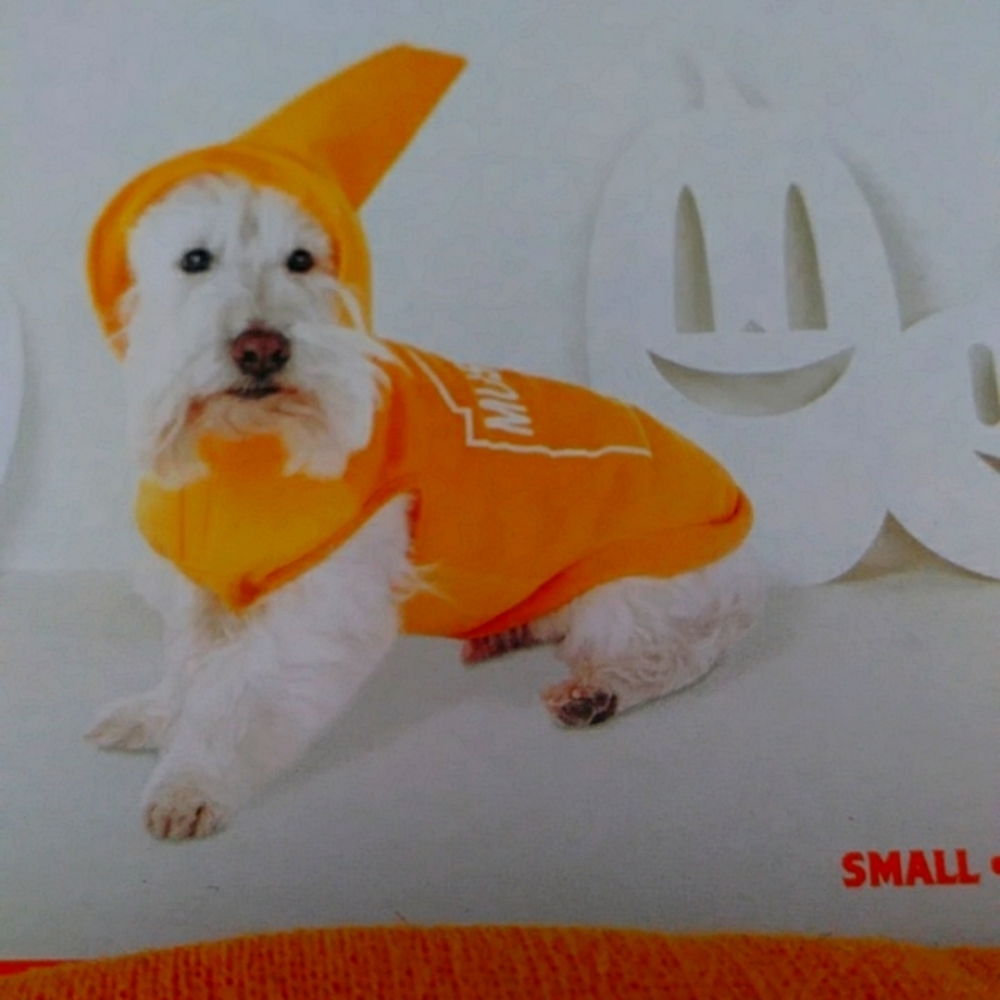 🎈Host Pick!🎈Small Dog Halloween Mustard Costume
